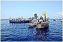 15L_6766 - 203 KB