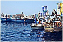 15L_6767 - 256 KB