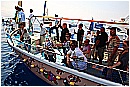 15L_6768 - 257 KB