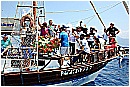 15L_6778 - 290 KB