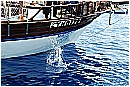 15L_6792 - 280 KB