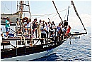 15L_6796 - 243 KB