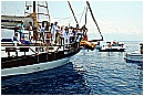 15L_6804 - 236 KB