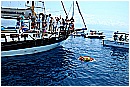 15L_6806 - 252 KB