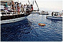 15L_6807 - 249 KB