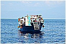 15L_6811 - 194 KB