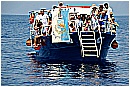 15L_6812 - 246 KB
