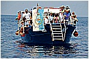 15L_6814 - 231 KB