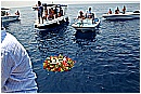 15L_6815 - 241 KB
