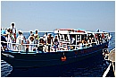 15L_6825 - 158 KB