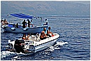 15L_6842 - 220 KB