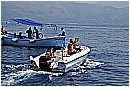 15L_6843 - 226 KB