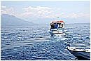 15L_6845 - 198 KB