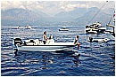 15L_6848 - 232 KB