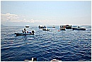 15L_6849 - 184 KB