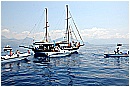 15L_6850 - 184 KB