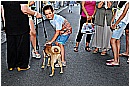 15L_6968 - 225 KB