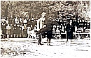 15L_7104 3 - 174 KB