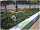 DSCN4014 - 360 KB