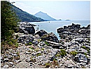 DSCN4019 - 342 KB