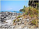 DSCN4020 - 392 KB