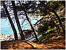 DSCN4021 - 418 KB