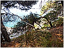 DSCN4024 - 441 KB