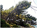 DSCN4027 - 321 KB