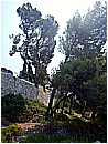 DSCN4032 - 228 KB