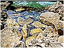 DSCN4034 - 451 KB