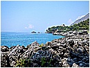 DSCN4036 - 274 KB