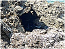 DSCN4038 - 417 KB