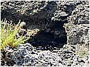 DSCN4039 - 383 KB