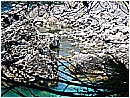 DSCN4043 - 394 KB