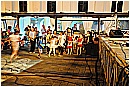 15L_7388 - 209 KB