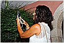 15L_7775 - 230 KB