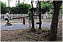 15M_8491 - 317 KB