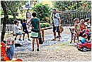 15M_8492 - 365 KB