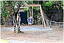 15M_8494 - 260 KB
