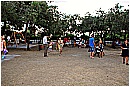 15M_8536 - 316 KB