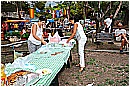 15M_8544 - 335 KB