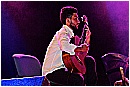 15M_8703 - 139 KB