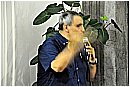 15M_8804 - 151 KB