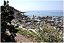 15M_8855 - 328 KB