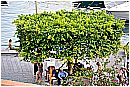 15M_9018 - 377 KB