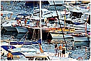 15M_9021 - 316 KB