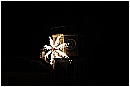 15M_9265 - 42,5 KB