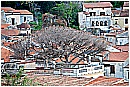 15M_0400 - 311 KB