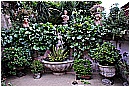 15M_0417 - 279 KB