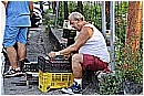_15P1046 - 264 KB